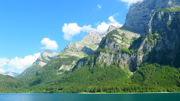 搜狗输入法下载最新版：官方安装教程3步轻松搞定2025年 一