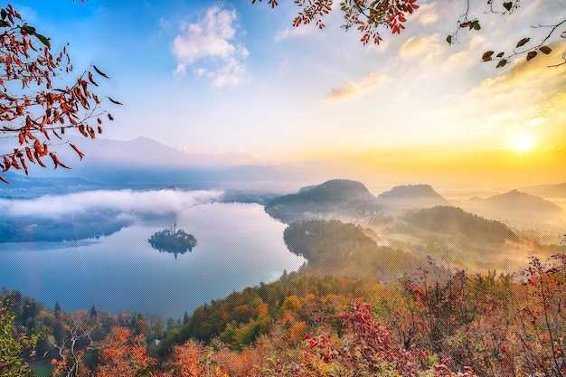 搜狗输入法下载难题？全解锁中文输入方案+多渠道免费下载攻略 一